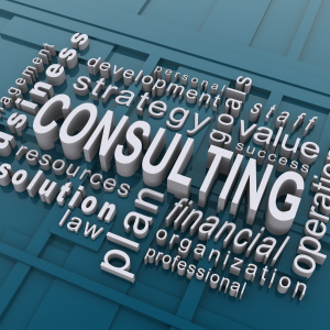 bizconsulting bizconsulting